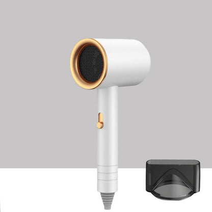 Blue Light Anion High-efficiency Hair Dryer